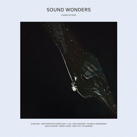 Sound Wonders, LP