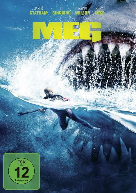 MEG, DVD