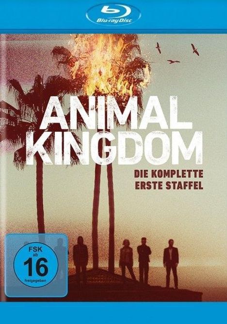 Animal Kingdom Staffel 1 (Blu-ray), 2 Blu-ray Discs
