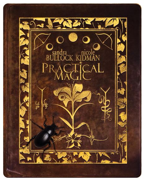 Der Text "Sandra Bullock, Nicole Kidman, Practical Magic" ist in goldener Schrift auf einem braunen Buch mit Blumenranken. Ein schwarzer Käfer sitzt darauf.