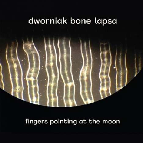 Dworniak Bone Lapsa: Fingers Pointing At The Moon, CD