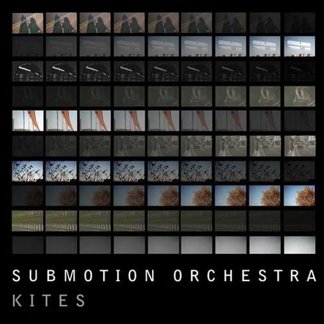 Submotion Orchestra: Kites, LP
