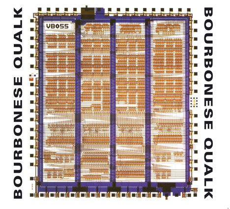 Texte: "VB055", "BOURBONESE QUALK" (links und rechts). Design erinnert an einen elektronischen Schaltkreis.