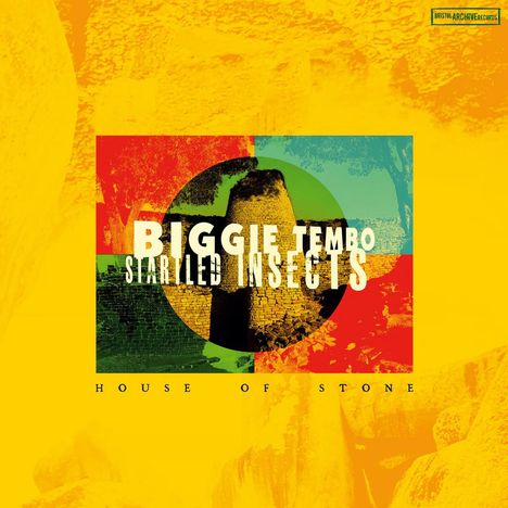 Text: "BIGGIE TEMBO STARTLED INSECTS HOUSE OF STONE". Illustration mit buntem, abstraktem Hintergrund und historischem Turm.