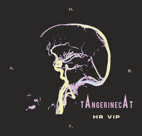 „TANGERINECAT“ in lila, „HR VIP“ in gelb. Seitliche Schädel-Illustration in lila und gelb auf schwarzem Hintergrund.