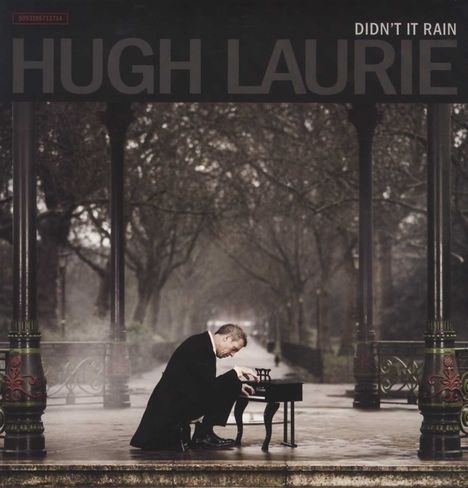 Hugh Laurie: Didn't It Rain, 4 LPs