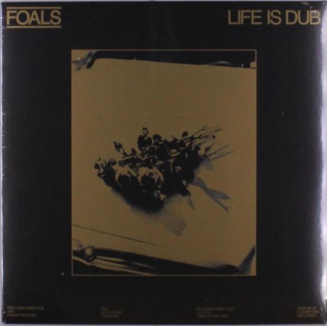 Foals: Life Is Dub, LP