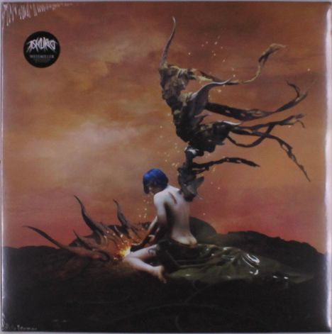 Cover/Produkt Ansicht vergrößern