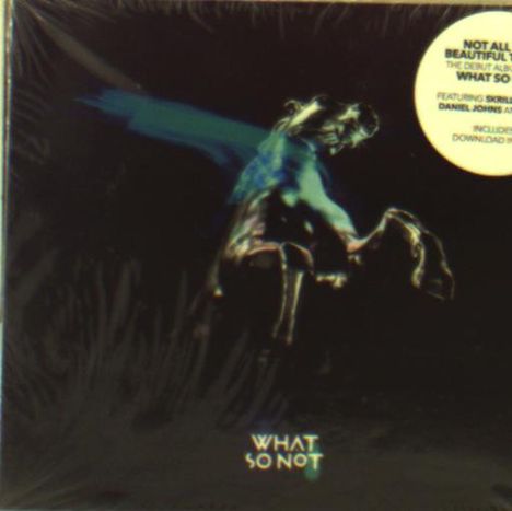 What So Not: Not All The Beautiful Things, CD