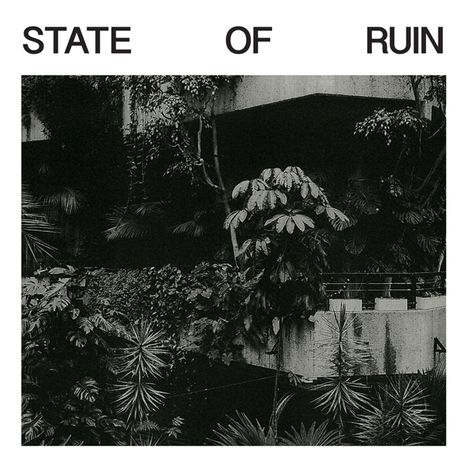 Silk Road Assassins: State Of Ruin, 2 LPs