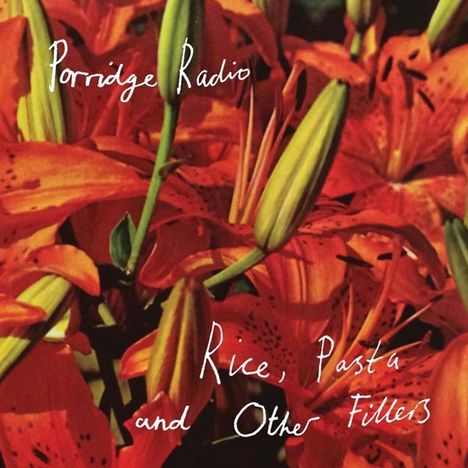 Porridge Radio: Rice, Pasta And Other Fillers (2020 Clear Vinyl), LP