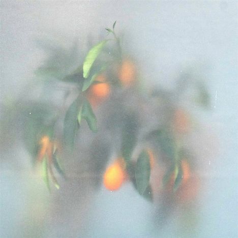 µ-Ziq &amp; Mrs Jynx: Secret Garden (Limited Edition) (Green Vinyl), LP