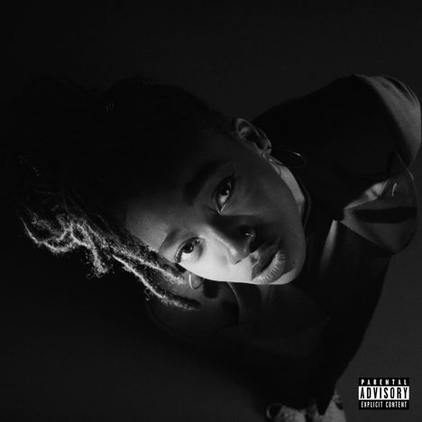 Little Simz: Grey Area (White Vinyl), LP