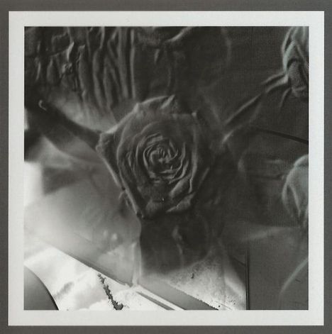 Eine verwischte, unscharfe Rose in Grau- und Schwarztönen, umgeben von Texturen und Unschärfeeffekten.