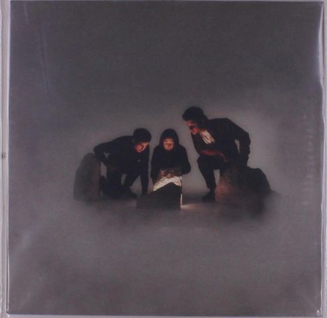 Blind Seagull: Decade Of Effort (White Vinyl), LP
