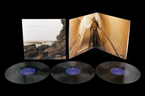 Polygon Window: Surfing On Sine Waves (Expanded Edition), 3 LPs
