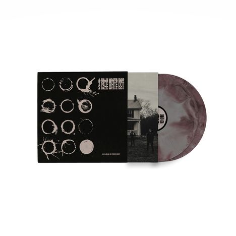 Text: "A Pale White Dot"
Cover: Schwarzer Hintergrund mit weißer Kreisgrafik, Vinyl scheibe in Grau.