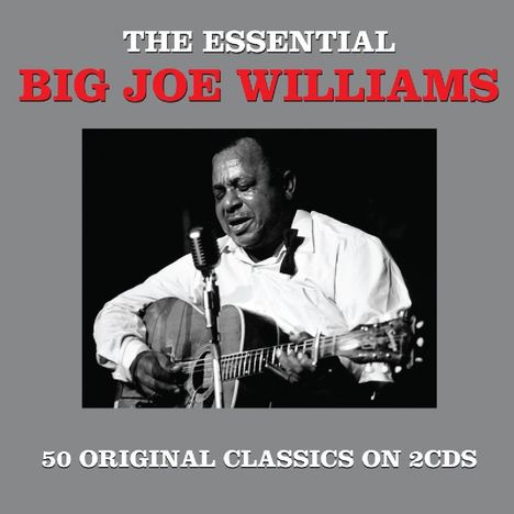 Big Joe Williams (Guitar/Blues): The Essential, 2 CDs