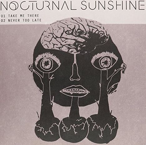 Nocturnal Sunshine: Take Me There (Limited Edition), Single 12"