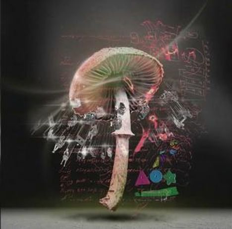 Ein zentraler Pilz mit grüner Kappe und pinken Akzenten, umgeben von bunten mathematischen Formeln und Symbolen.