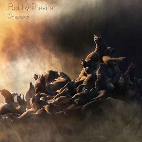 Bobby Previte (geb. 1957): Rhapsody, 2 LPs