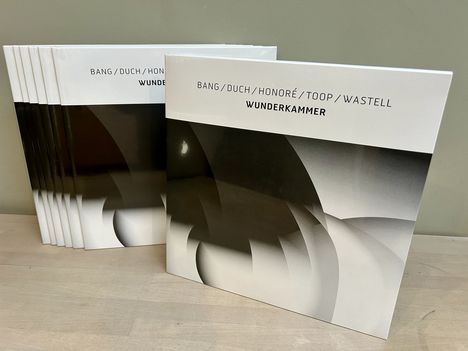 Jan Bang, Michael Duch, Erik Honoré, David Toop &amp; Mark Wastell: Wunderkammer, LP