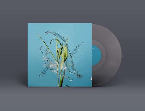 Fergus McCreadie: Stream (Clear Vinyl), LP