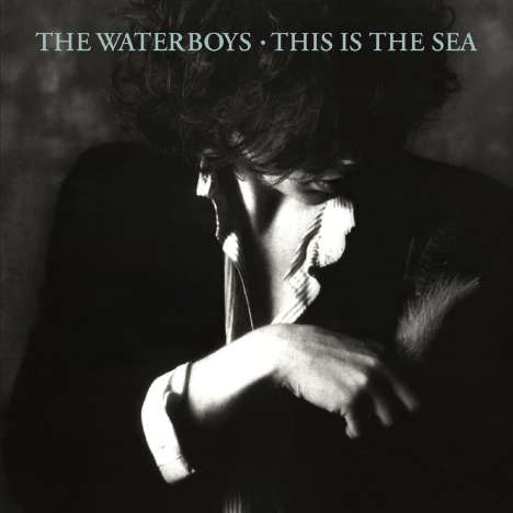 The Waterboys: This Is The Sea (Collector's Edition), 2 CDs