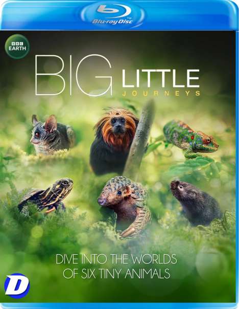 Big Little Journeys (2023) (Blu-ray) (UK Import), Blu-ray Disc