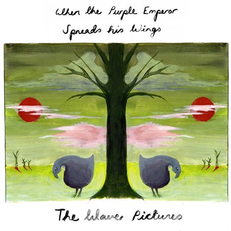 The Wave Pictures: When The Purple Emperor Spreads His Wings, 2 CDs