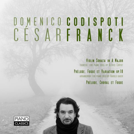 Cesar Franck (1822-1890): Klaviersonate in A (nach der Violinsonate), CD