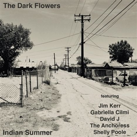 The Dark Flowers: Indian Summer, LP