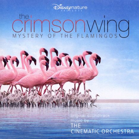 The Cinematic Orchestra: Crimson Wing:Mystery Of Flamingos, CD