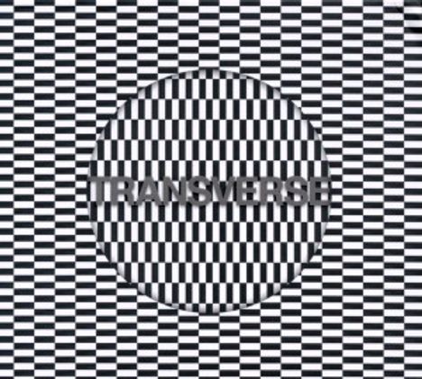 Carter Tutti Void: Transverse, CD