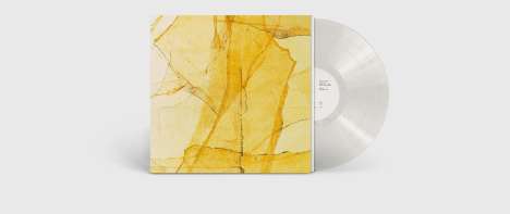 Wadada Leo Smith &amp; Amina Claudine Myers: Central Park's Mosaics Of Reservoir, Lake, Paths And Gardens (180g) (Transparent Vinyl) (45 RPM), LP