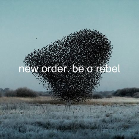 New Order: Be A Rebel (EP) (Limited Edition) (Dove Grey Vinyl), Single 12"