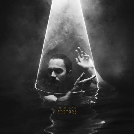 Editors: In Dream (Clear Vinyl), LP