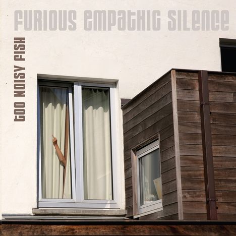 Too Noisy Fish: Furious Empathic Silence, LP