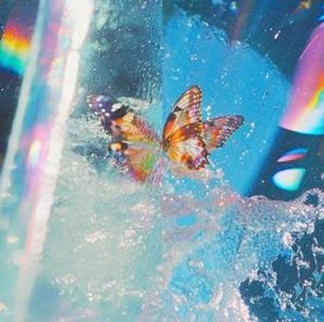 Keine Texte sichtbar. Ein Schmetterling fliegt durch spritzendes Wasser in buntem Licht.
