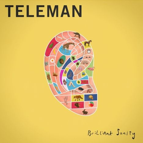 Teleman: Brilliant Sanity, CD