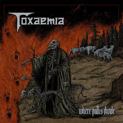 Toxaemia: Where Paths Divide, CD