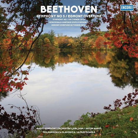 Ludwig van Beethoven (1770-1827): Symphonie Nr.5 (180g), LP