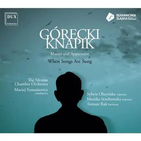GÓRECKI KNAPIK, Master and Apprentice, When Songs Are Sung. Silhouette einer Person vor grauem Himmel.