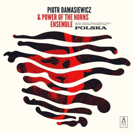 Piotr Damasiewicz (geb. 1980): Polska, CD