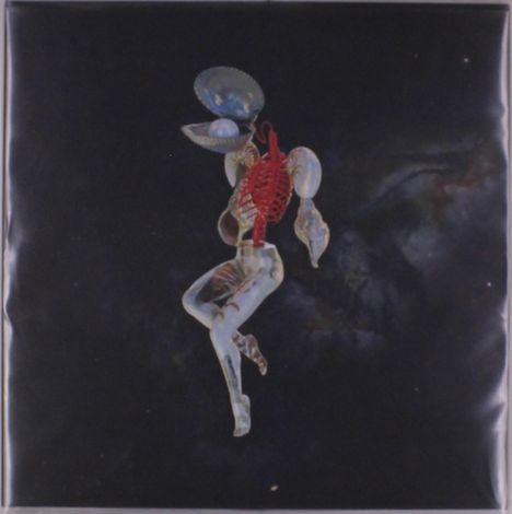 Hail Spirit Noir: Fossil Garden (Limited Edition) (Orange/Red Vinyl), LP