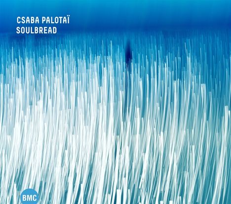 "CSABA PALOTAI, SOULBREAD" steht mit weißem Text oben links. Blaue und weiße vertikale Linien verlaufen von unten nach oben.