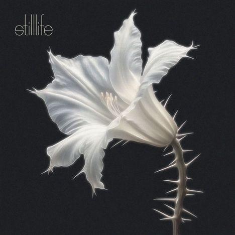 Text: "stilllife". Illustration einer weißen, feinen Blume mit Dornen auf schwarzem Hintergrund.
