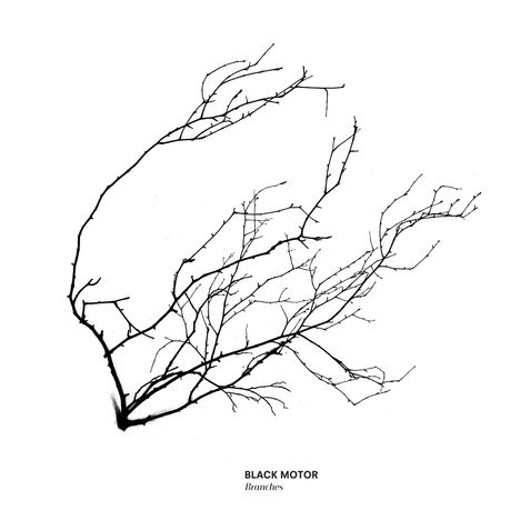 Black Motor: Branches, CD