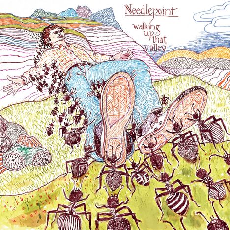 Needlepoint: Walking Up That Valley (180g), LP