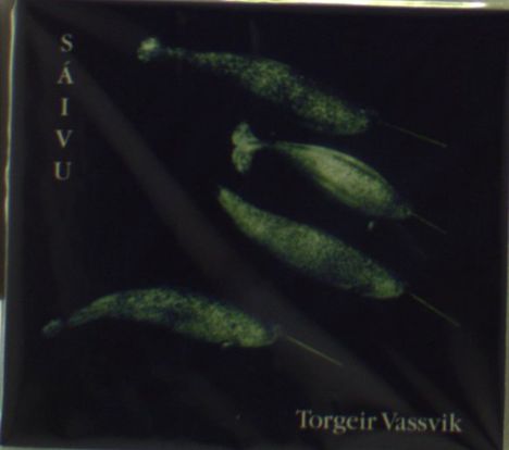 Torgeir Vassvik: Saivu, CD